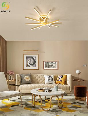 Gebruikt voor Huis/Hotel LEIDEN Eenvoudig Modern Modieus Plafondlicht