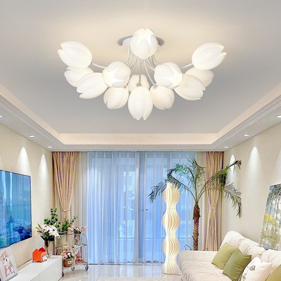 Moderne Minimalistische Franse Roomstijl Noords Licht Hall Main Luxury Lamp