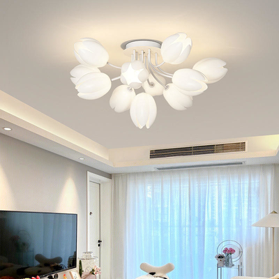 Moderne Minimalistische Franse Roomstijl Noords Licht Hall Main Luxury Lamp