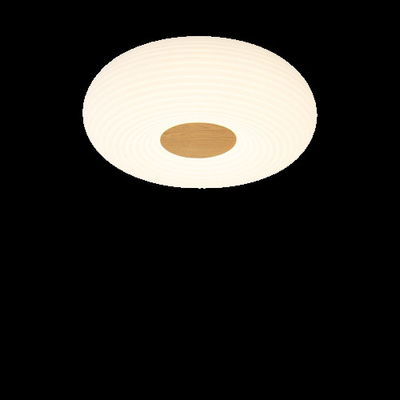 Moderne Eenvoudige Houten van de het Huisslaapkamer van het Korrelplafond Lichte het Boekzaal Verlichting